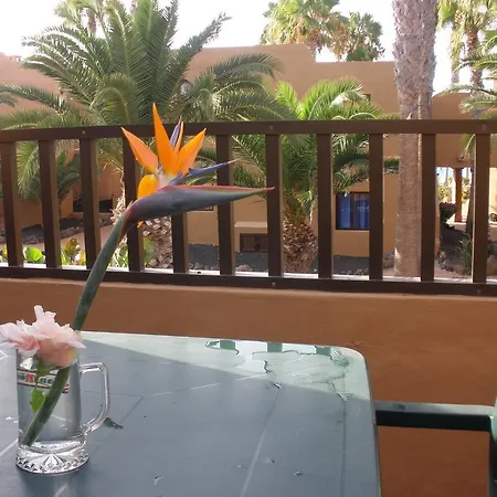 Appartement Oasis Dunas