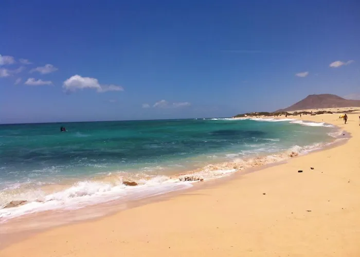 Oasis Dunas Corralejo