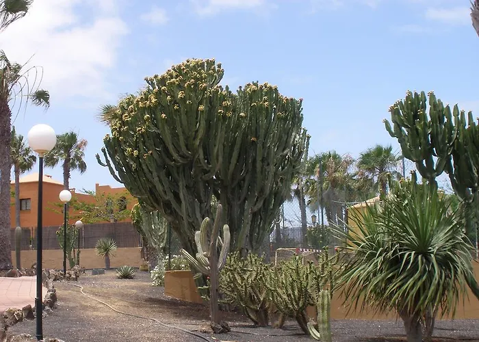 Oasis Dunas * Corralejo