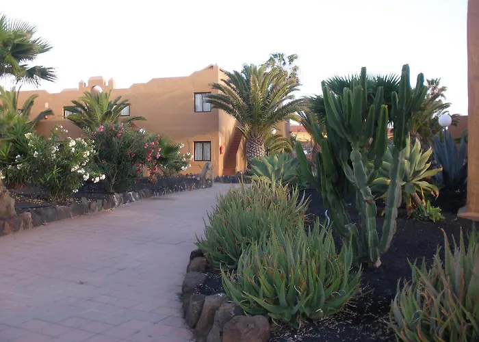 Oasis Dunas * كوراليهو