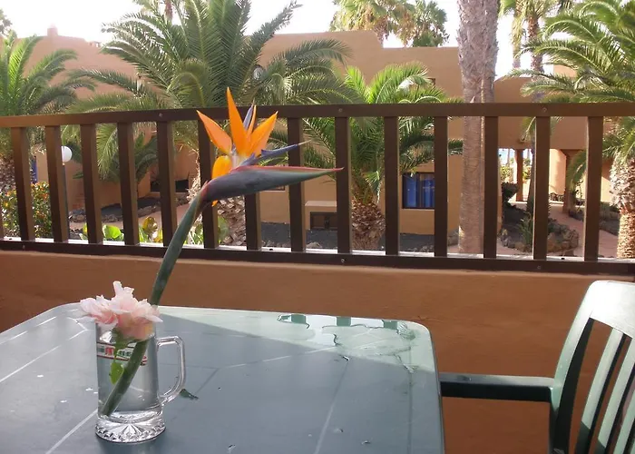 Apartment Oasis Dunas