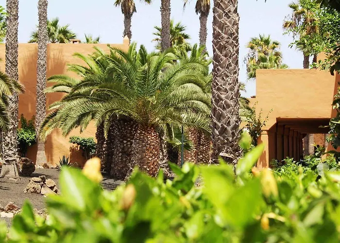 Apartmán Oasis Dunas